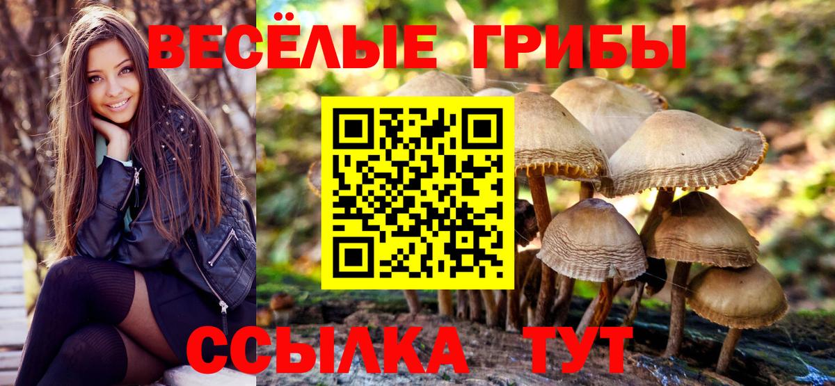Псилоцибиновые грибы прущие грибы Жигулёвск