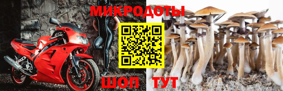 Жигулёвск  Псилоцибиновые грибы ЛСД  Вход с VPN  Галлюциногенные грибы Cubensis 